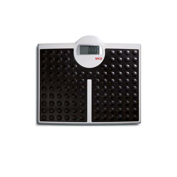 Seca 813 - High Capacity Digital Flat Scale for Individual Patient Use - Image 1