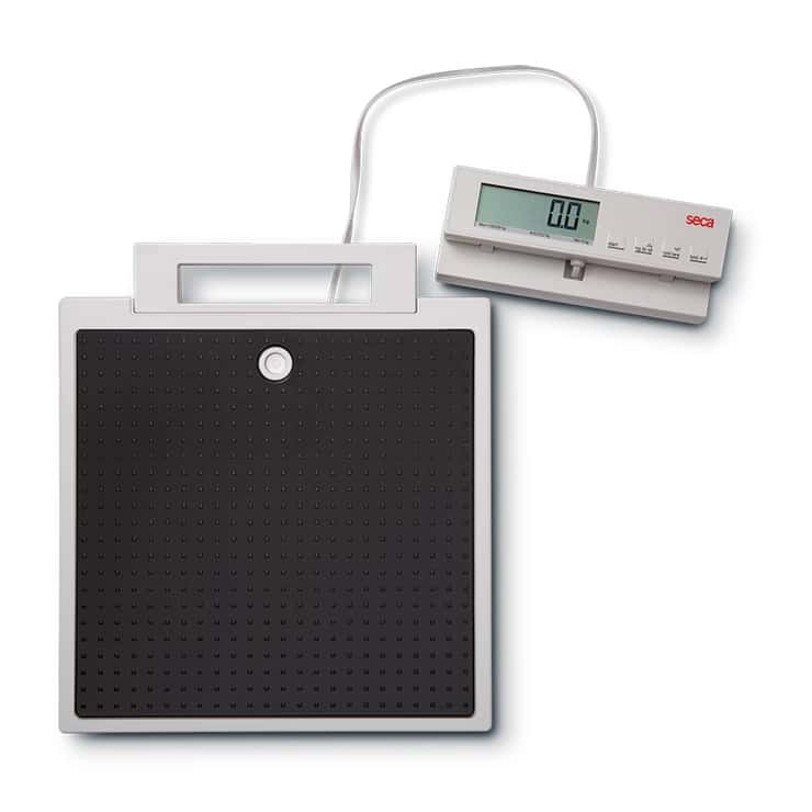 Seca 869 - Flat Scale with Cable Remote Display - Image 1