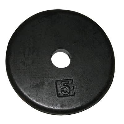 CanDo Iron Disc Weight Plate - Image 2