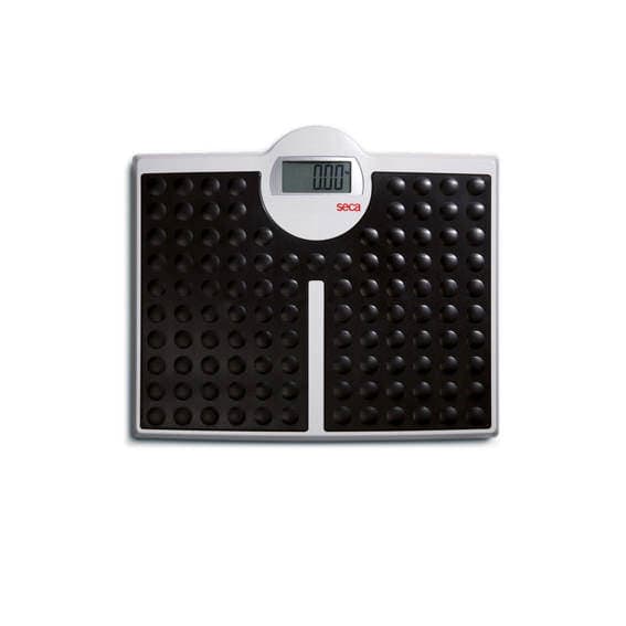 Seca 813 High Capacity Digital Flat Scale for Individual Patient Use