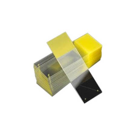 Colorfrost Plus Charged Microscope Slide - Image 2