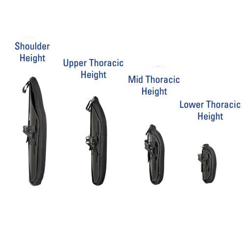 Jay J3 Posterior Lateral Back - Image 4