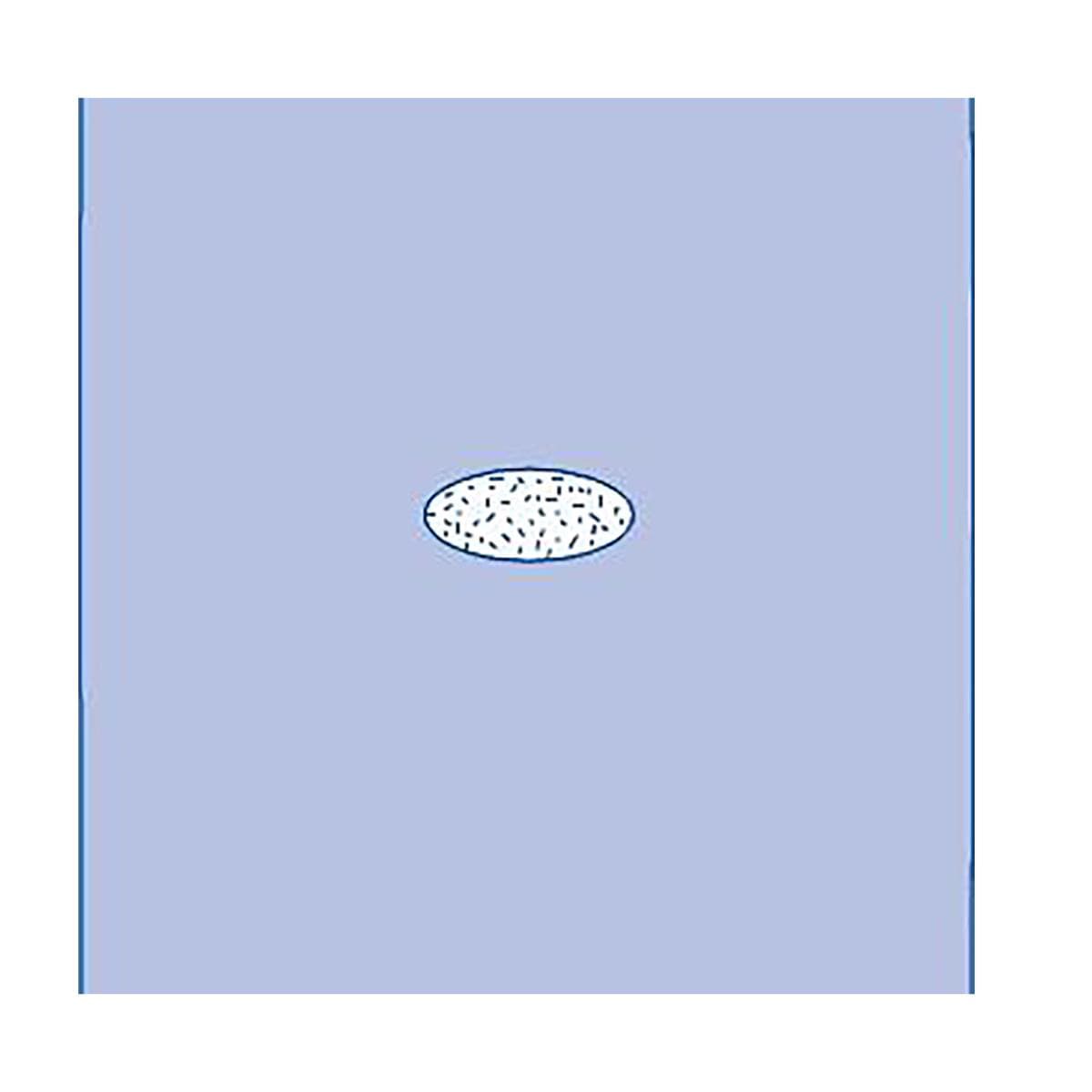 Medline Adherent Window Sheet - Case of 34 - Image 1