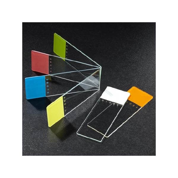 Globe 1324 Series Microscope Slide - Image 1
