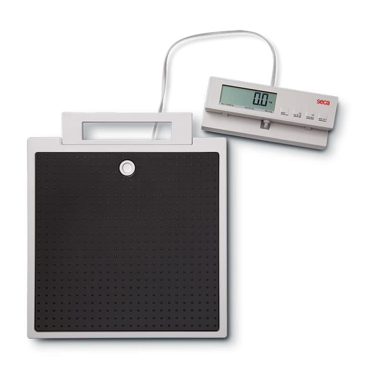 Seca 869 Flat Scale with Cable Remote Display