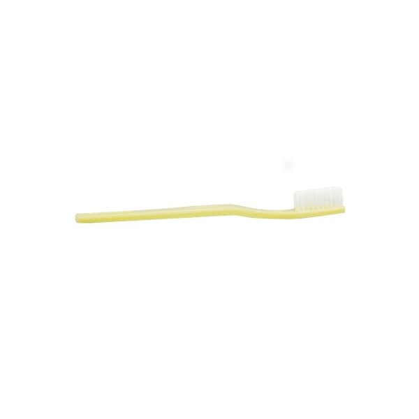 DawnMist Translucent Toothbrush with White Nylon Bristles, Adult - Image 1