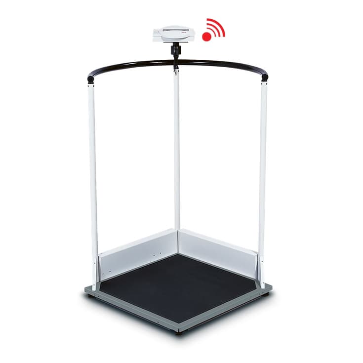 Seca 644 EMR-Validated Multifunction Handrail Scale