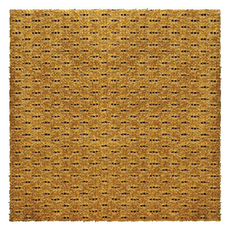 TheraHoney HD Honey Wound Dressing - Image 5