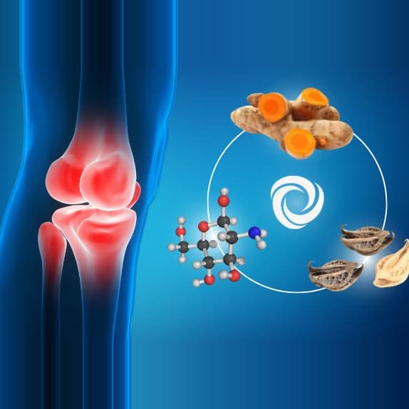 Joint Health Supplements