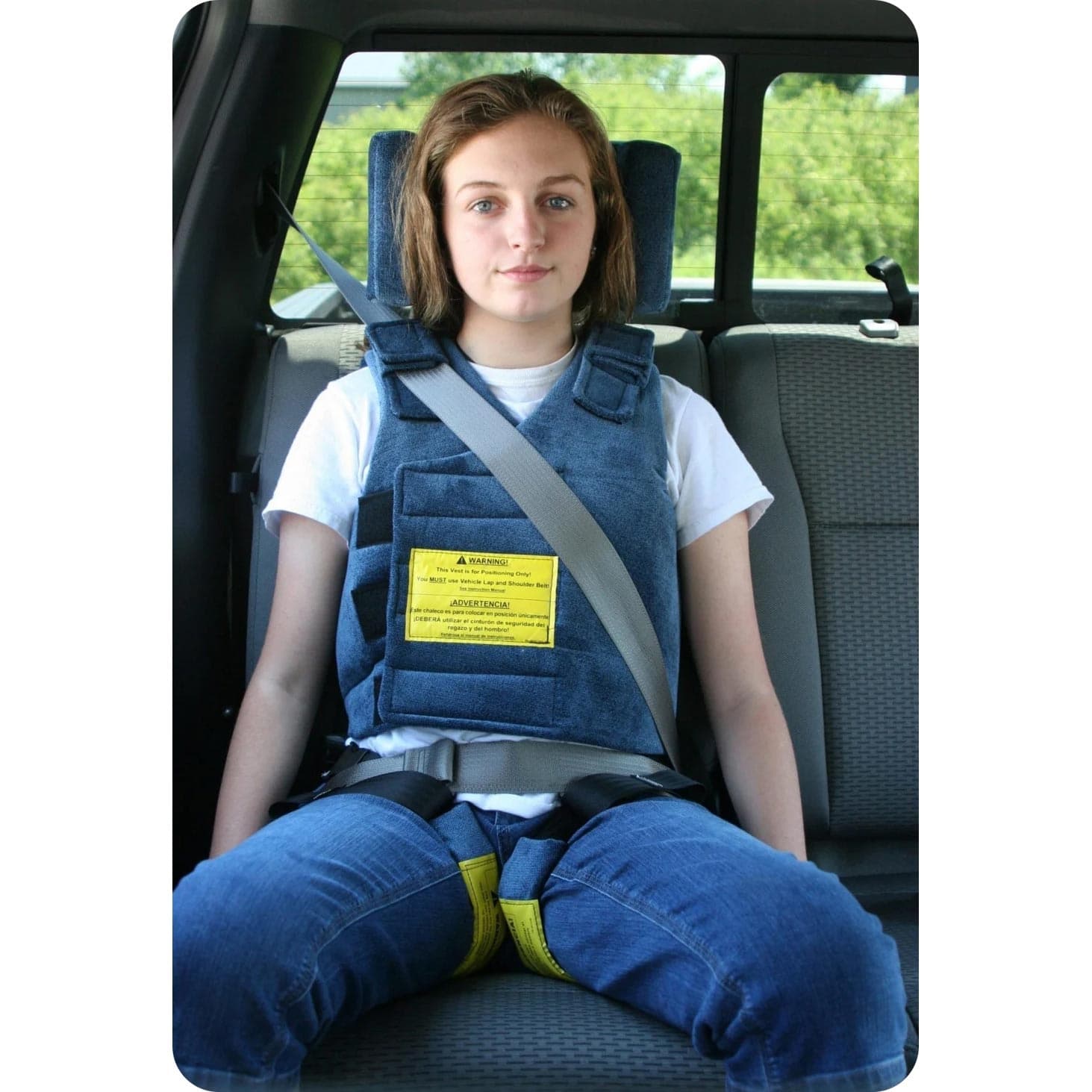 Chamberlain Positioning Vehicle Seat Belt System - Image 2