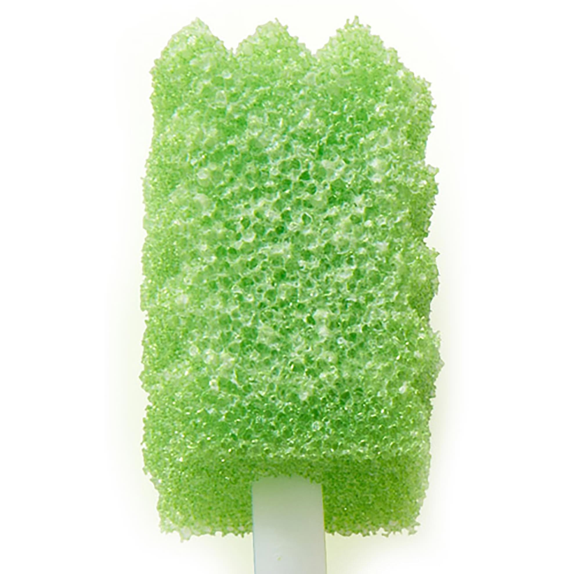 Toothette Oral Swab System Kit - Image 5