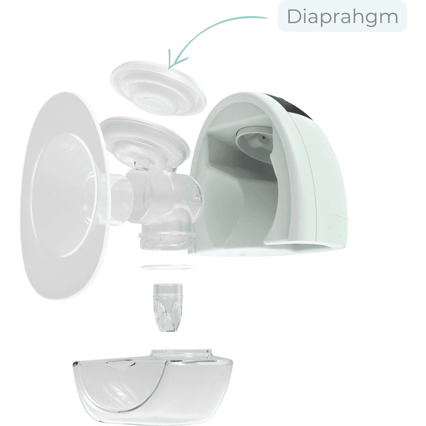 Zomee Fit Diaphragms - Image 2