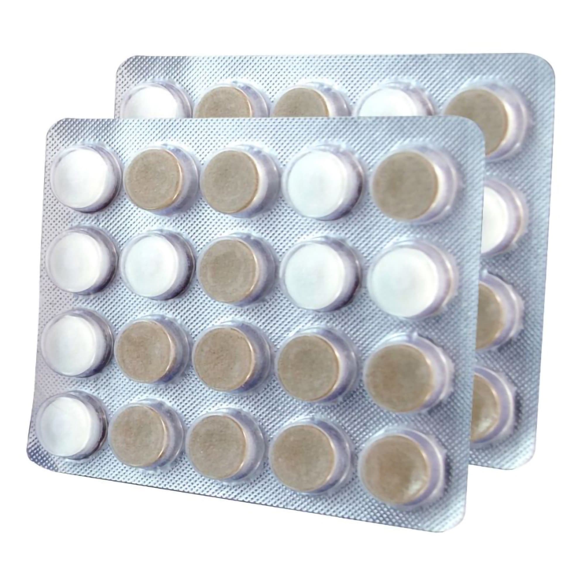 OraCoat XyliMelts Dry Mouth Mild Mints - Carton of 40 - Image 5